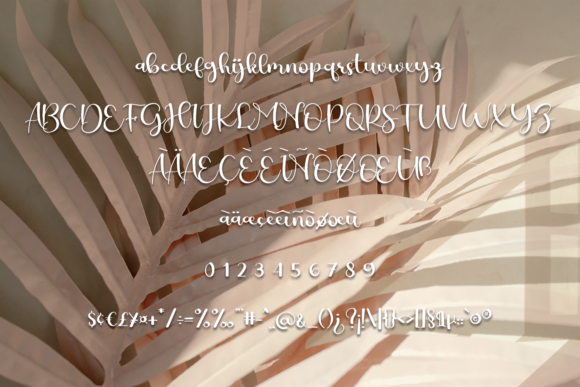 Brilliant Soulmate Font - Preview 4