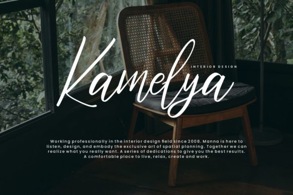 Bristtole Script Font - Preview 3