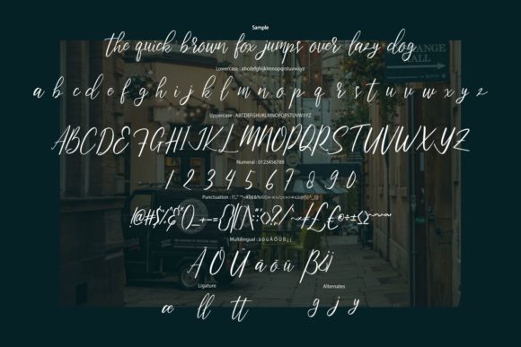 Bristtole Script Font - Preview 5