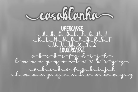 Casablanka Font - Preview 5