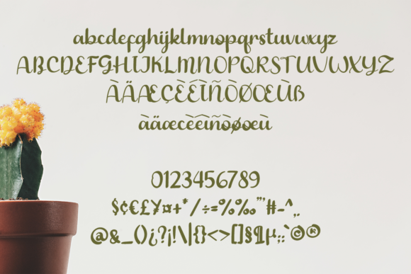 Emberly Font - Preview 4