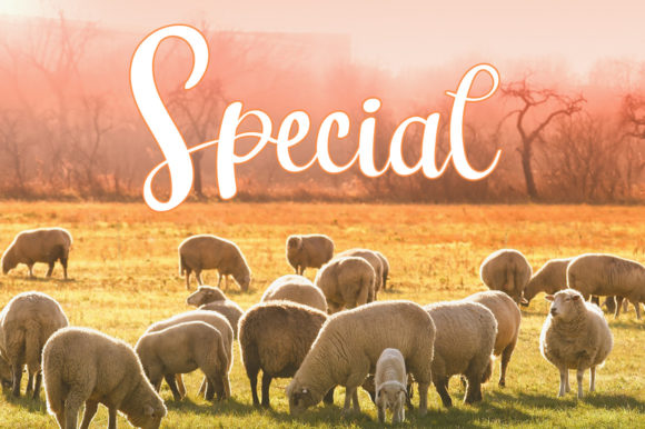 Farmhouse Font - Preview 1