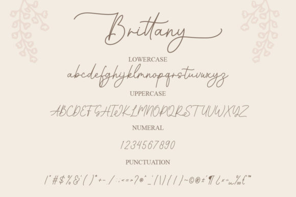 Brittany Font - Preview 6