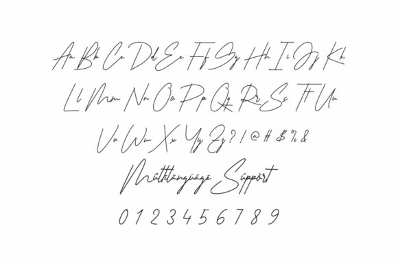 Amelyn Font - Preview 3