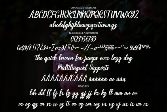 Beauty Rhapsody Font PNG with transparent background - Preview 2