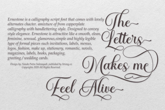 Ernestone Script Font - Preview 3