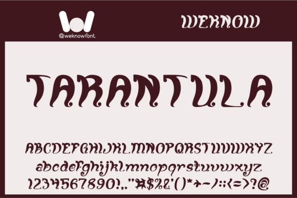 Fancy Curly Font - Preview 3