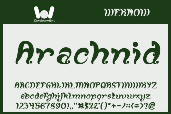 Fancy Curly Font - Preview 4