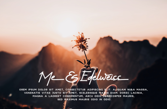 Hello Alexandria Font - Preview 6