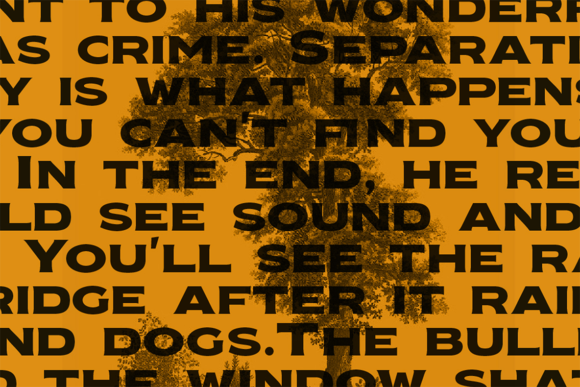 Nakara Serif Font PNG with transparent background - Preview 3