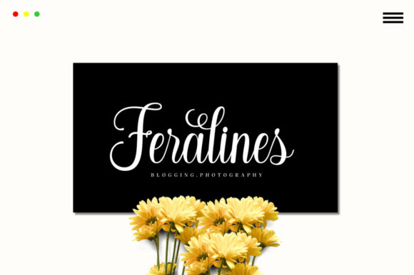 Baby Sillentha Script Font - Preview 4