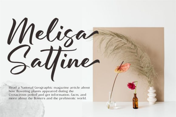 Berdiolla Font - Preview 1