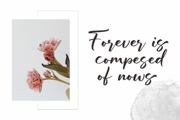 Berdiolla Font - Preview 2