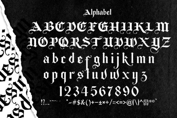 Bugenvil Font - Preview 4