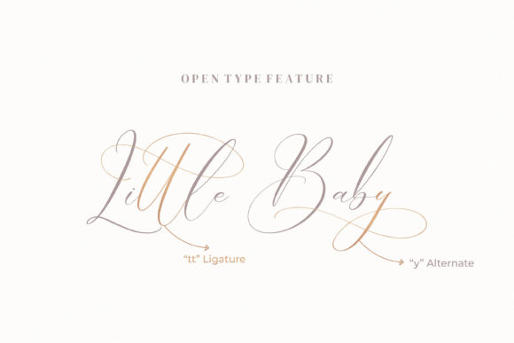 Boutique Qiara Font - Preview 5