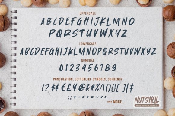 Nutshell Font PNG with transparent background - Preview 5