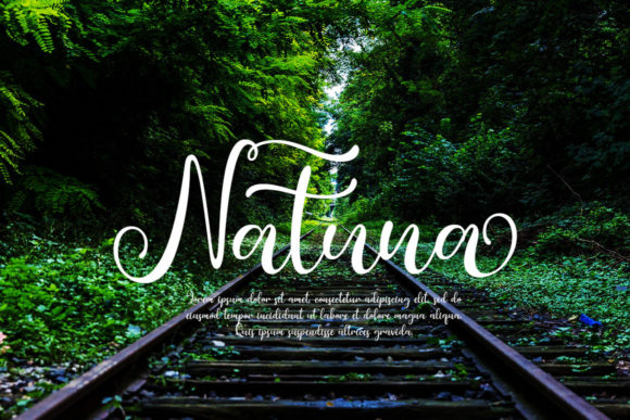 Roseting Font font preview - 4