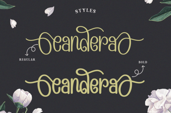 Candera Font - Preview 1