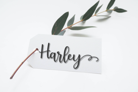 Last Christmas Script Font PNG with transparent background - Preview 4