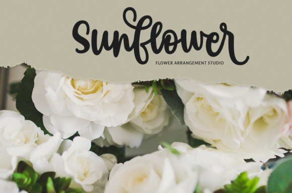 Beauty Adesha Font - Preview 5