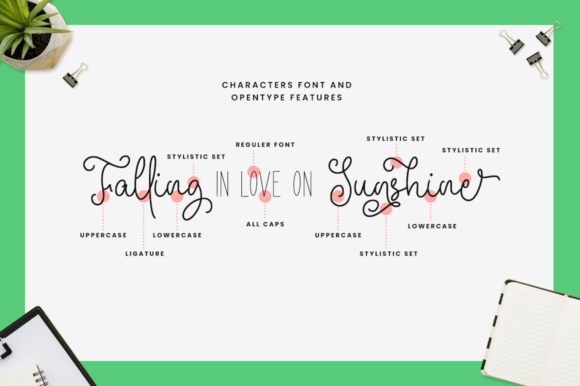 Beauty Festival Font - Preview 6