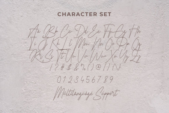 Braselton Font - Preview 2