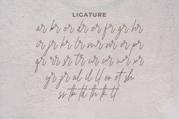 Braselton Font - Preview 5