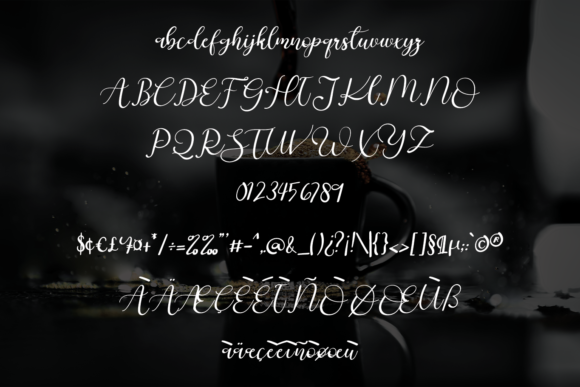 Country Western Font - Preview 4