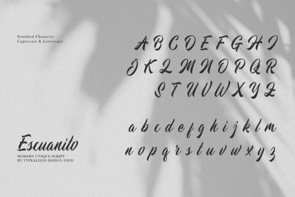 Escuanito Font - Preview 6