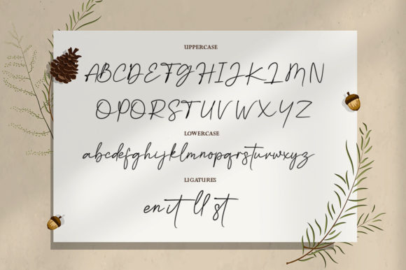 Kalista Font - Preview 5