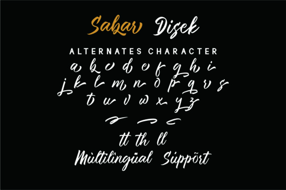 Sabar Disek Font PNG with transparent background - Preview 5