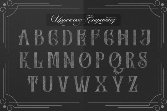 SkinerScort Font PNG with transparent background - Preview 4