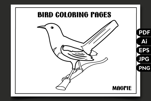 Bird Coloring Pages-1