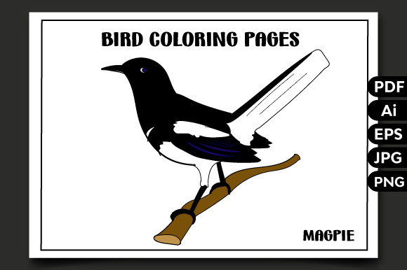 Bird Coloring Pages-14