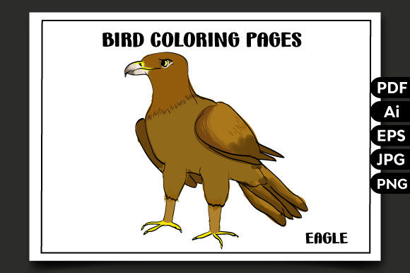Bird Coloring Pages-4