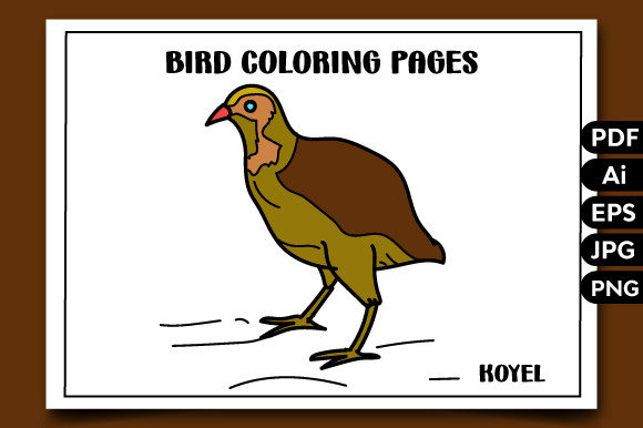 Bird Coloring Pages-5