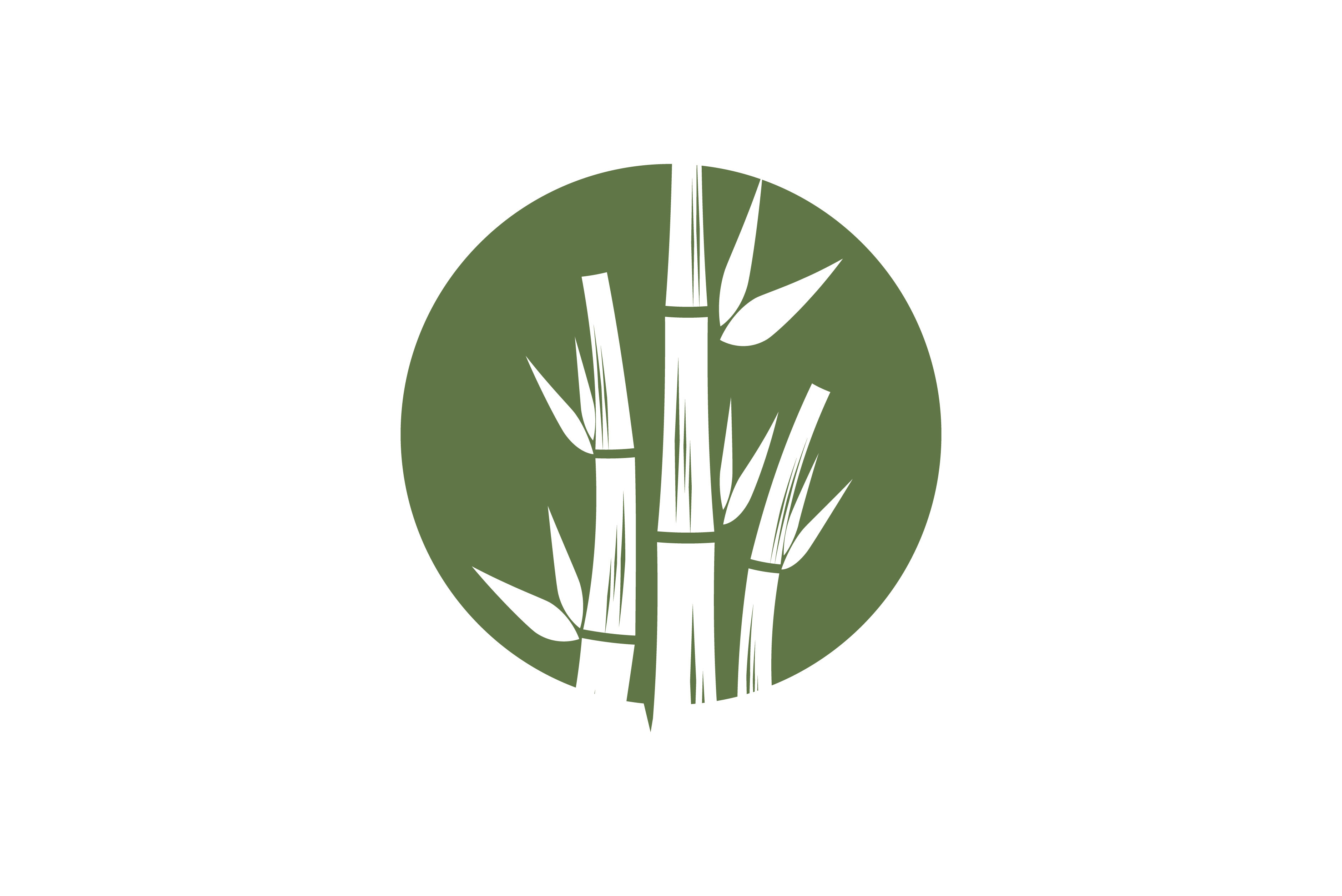 Bamboo Logo Vector Graphic by Redgraphic  Creative Fabrica