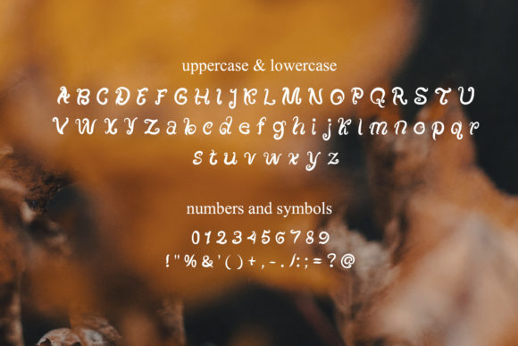 Old Work - Handwritten Font PNG with transparent background - Preview 1