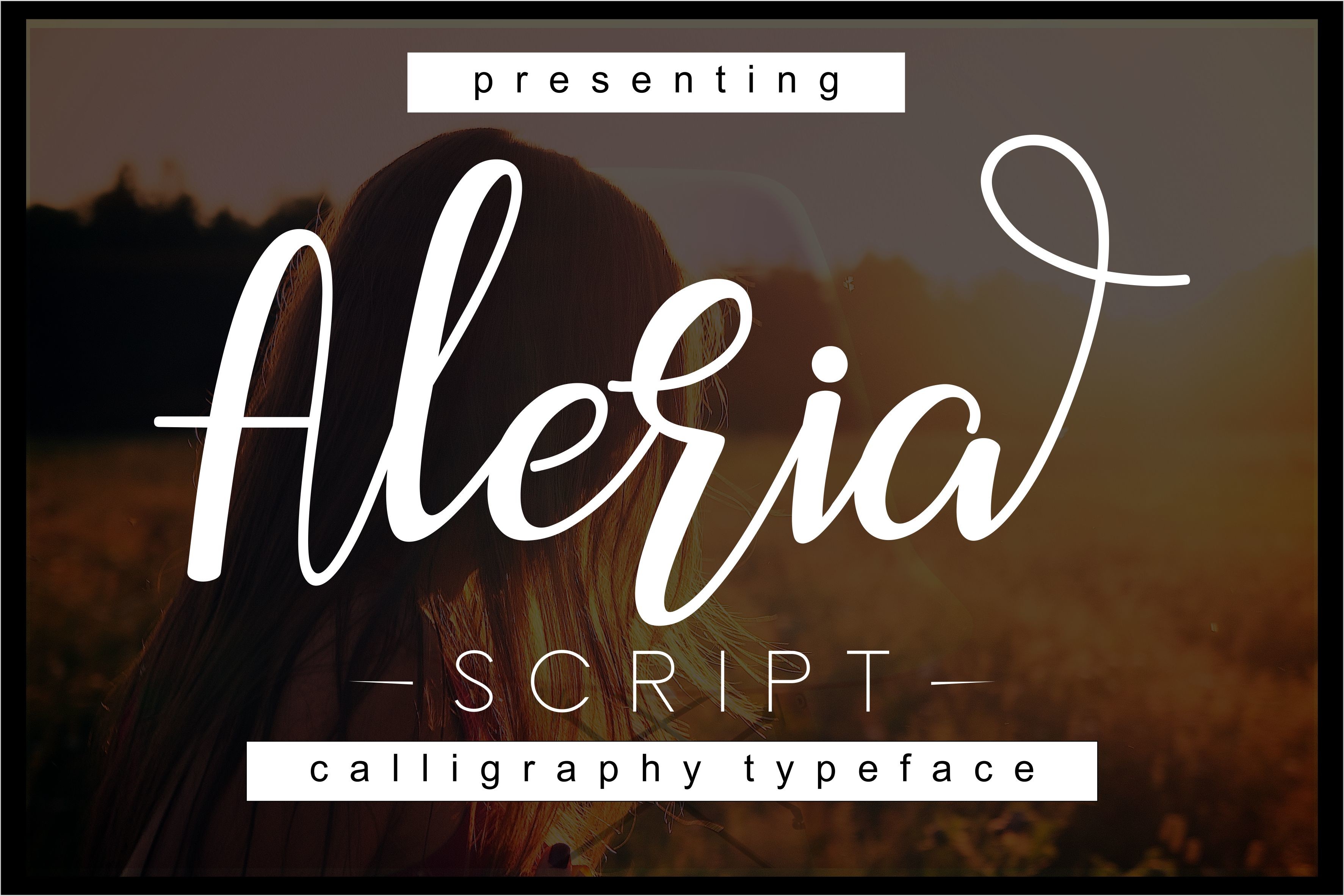 Aleria script font preview showing bold connected handwritten lettering for vinyl decor