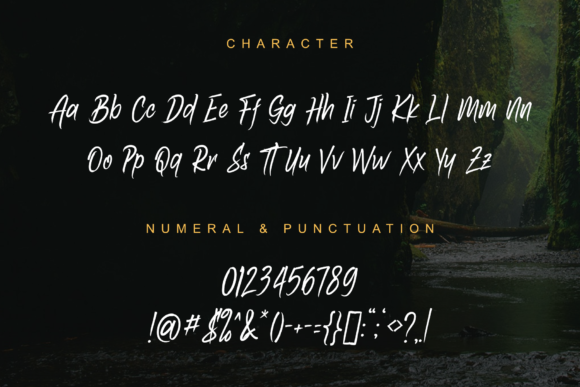 Amazoone Font - Preview 1