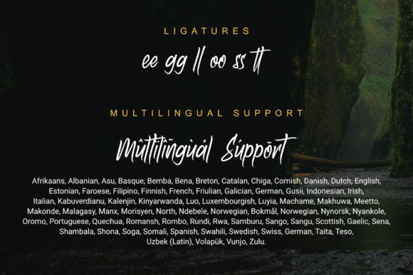 Amazoone Font - Preview 2