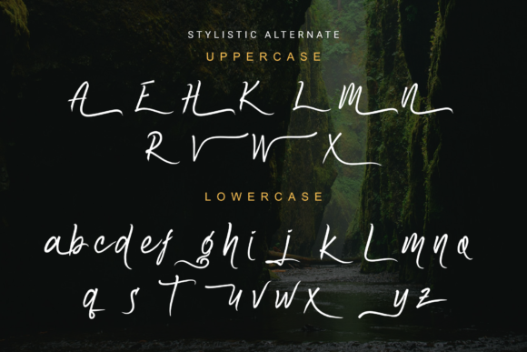 Amazoone Font - Preview 3