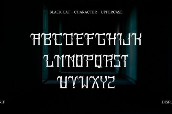 Black Cat Font - Preview 3