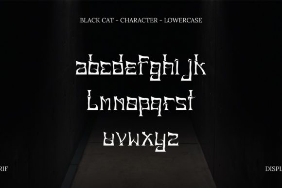 Black Cat Font - Preview 5