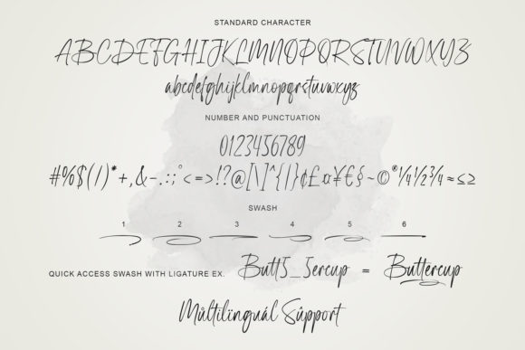 Bluegold Font - Preview 5