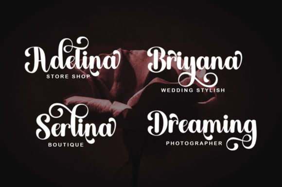 Bridgerton Font - Preview 3