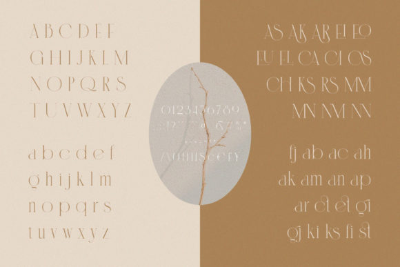 Cannia || Ligature Typeface Font - Preview 6