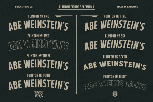 Flinton Family Font - Preview 1