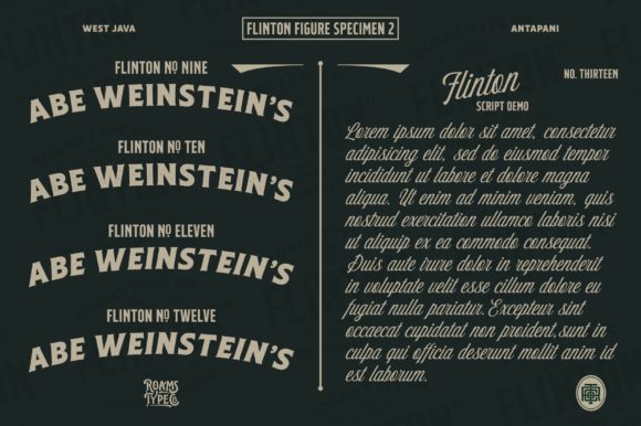 Flinton Family Font - Preview 2