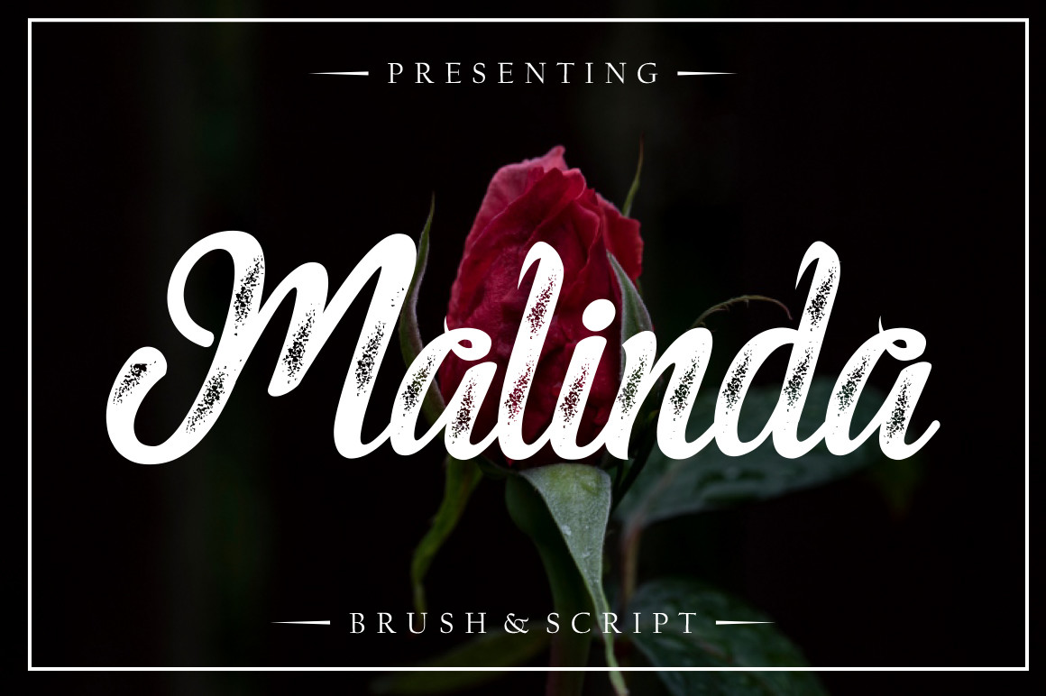 Malinda elegant script font preview showing composed delicate handwritten lettering
